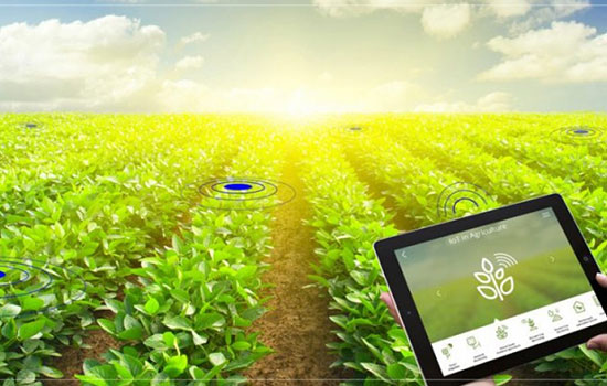نگاهی عمیق به اینترنت اشیاء در کشاورزی و راهکار های هوشمند کشاورزی